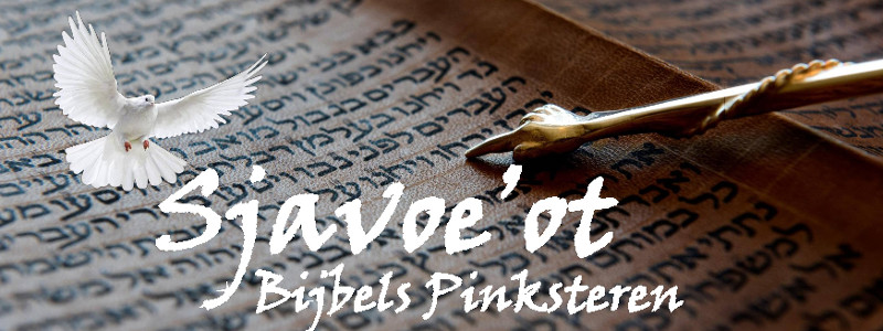 Vinaora Nivo Slider 3.x