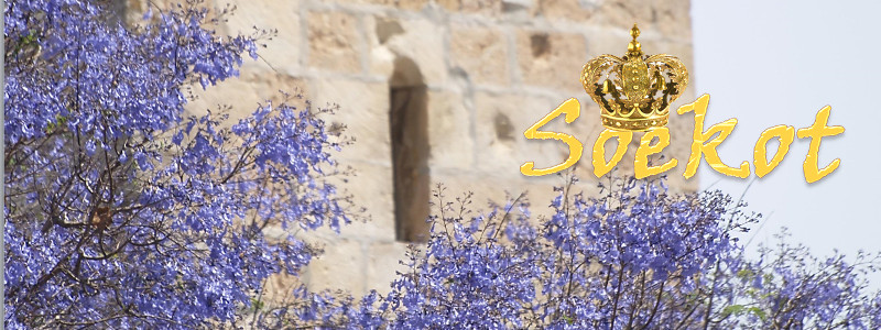 Vinaora Nivo Slider 3.x